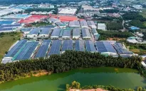 Vốn FDI tăng mạnh thúc đẩy nhu cầu thuê đất khu công nghiệp