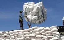 Giá gạo xuất khẩu dự báo sớm tăng trở lại