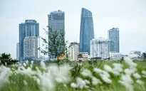 Trung tâm tài chính của Việt Nam được xây dựng thế nào?