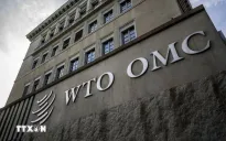 WTO tổ chức phiên họp về căng thẳng thương mại toàn cầu