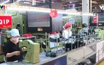 Sôi động thị trường lao động