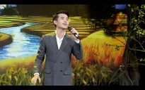 Câu chuyện từ những bài ca: Quê hương tuổi thơ tôi và những ký ức tuyệt đẹp