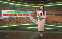 Sự lựa chọn - 22/02/2025