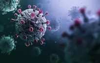 Chủng virus corona mới phát hiện có nguy cơ lây lan mạnh như COVID-19?