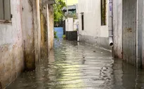 Hỗ trợ tối thiểu 20 - 40 triệu đồng cho hộ gia đình khó khăn bị thiệt hại do thiên tai