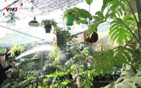 Hạnh phúc là gì?: Nghệ nhân Lê Tiến Thành