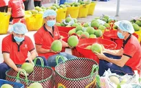 Mở rộng và đa dạng hóa thị trường xuất khẩu nông sản