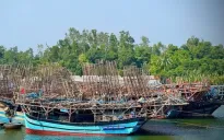 Nỗ lực tìm kiếm ngư dân không may bị mất tích khi hành nghề câu mực trên biển