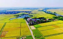 Bộ Tài chính đề xuất giảm 30% tiền thuê đất năm 2025