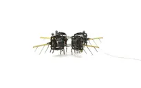 Robot côn trùng hỗ trợ thụ phấn cho cây