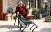 Chó robot hỗ trợ chăm sóc tại viện dưỡng lão
