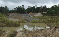Tỷ lệ phá rừng Amazon ở Colombia giảm thấp nhất trong hơn hai thập kỷ