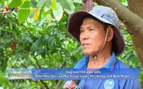 Trang địa phương - Số 8