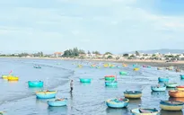 Bình Thuận: Tìm kiếm 1 ngư dân đi thúng máy mất tích trên biển