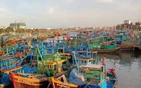 Bình Thuận: Hơn 1.400 tàu cá chưa có hoặc hết hạn giấy phép khai thác thủy sản