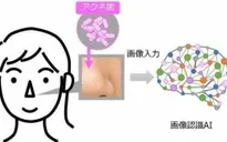 Phát hiện vi khuẩn gây mụn trứng cá nhờ công nghệ AI