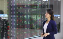 Nâng cao chất lượng quản trị doanh nghiệp, tăng sức hút thị trường