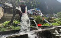 Những nữ tỷ phú nuôi cá nước lạnh nơi ven trời Tây Bắc