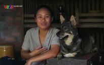 Gia đình đẹp: Trang hoàng nhà cửa