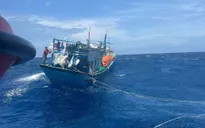 Bình Thuận: Cứu nạn tàu cá cùng 15 lao động bị phá nước trên biển