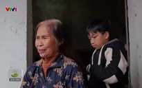 Cặp lá yêu thương - 08/3/2025