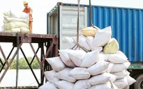 Ấn Độ dỡ bỏ lệnh cấm xuất khẩu, gạo Việt có chịu tác động?