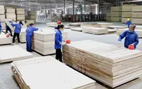 Việt Nam duy trì vị thế xuất khẩu gỗ hàng đầu thế giới