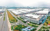 Giảm tiền thuê đất để trợ lực doanh nghiệp