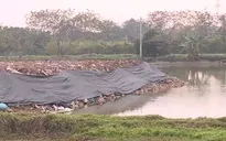San lấp phế thải, xây nhà trái phép trên đất nông nghiệp