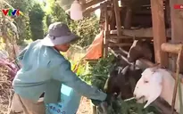 Thoát nghèo nhờ mô hình phát triển kinh tế theo nguyện vọng
