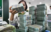 Thu ngân sách nhà nước đạt gần 30% dự toán