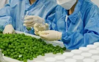 Bộ Công Thương vào cuộc vụ kẹo rau củ Kera