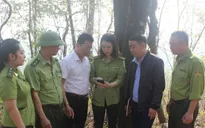 "Báo động đỏ" nguy cơ cháy rừng mùa khô tại Thuận Châu (Sơn La)