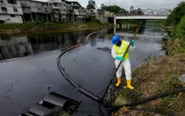 Ecuador ban bố tình trạng khẩn cấp do tràn dầu