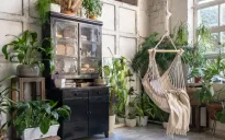 Đưa cây xanh vào nhà, tác dụng tích cực cho cả thể chất và tinh thần