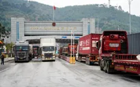 Xuất nhập khẩu hơn 1 tỷ USD trong ngày đầu triển khai mô hình hải quan mới