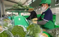 Kiểm soát chất lượng nông sản với tick xanh "trách nhiệm"