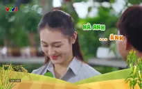 Nhà nông vui vẻ: Các yếu tố cần thiết khi trồng dâu tây trong nhà màng (Phần 2)