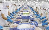 Việt Nam là thị trường cung cấp thuỷ sản lớn thứ 2 cho Brazil