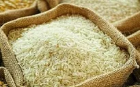 Gạo Việt Nam thu hút sự quan tâm của người tiêu dùng Nhật Bản