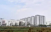 Hà Nội: Giám sát quản lý đất đai, môi trường trong thời gian sắp xếp tổ chức bộ máy