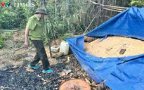 Chi cục Kiểm lâm tỉnh Đắk Lắk chỉ đạo 'nóng' vụ rừng sản xuất bị tàn phá ở huyện Ea Hleo