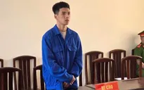 Tài xế taxi bị phạt tù vì tổ chức vượt biên trái phép