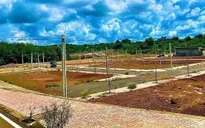 Thận trọng mua đất nền trong cơn sóng ảo
