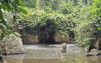 Thanh Hóa: Phát hiện nước suối Lèn Cò Noóng ô nhiễm do nước thải từ trại lợn