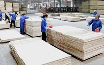 Việt Nam ưu tiên nhập khẩu gỗ nguyên liệu từ Hoa Kỳ