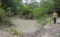 Bà Rịa - Vũng Tàu: Suối Thị Vải bỗng đổi màu bất thường, bốc mùi hôi thối nghi do xả thải trộm