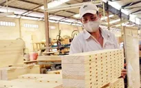 Ngành gỗ đề xuất giải pháp cân bằng thương mại Việt Nam - Hoa Kỳ