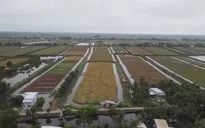 Người dân Hậu Giang sống chung với hạn mặn