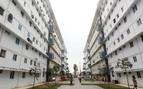 Thủ tục hành chính làm khó chủ đầu tư nhà ở xã hội